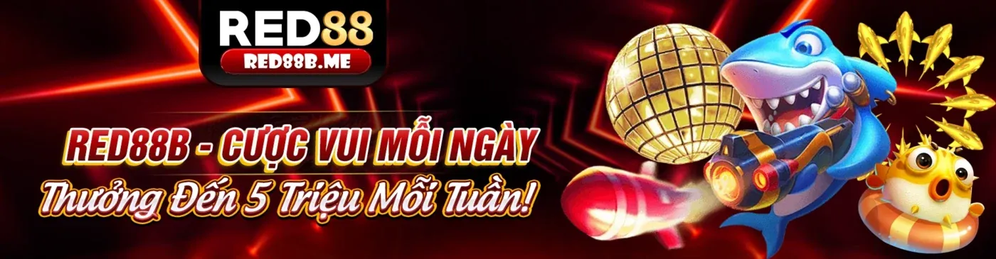 Hình ảnh các ưu đãi và khuyến mãi hấp dẫn